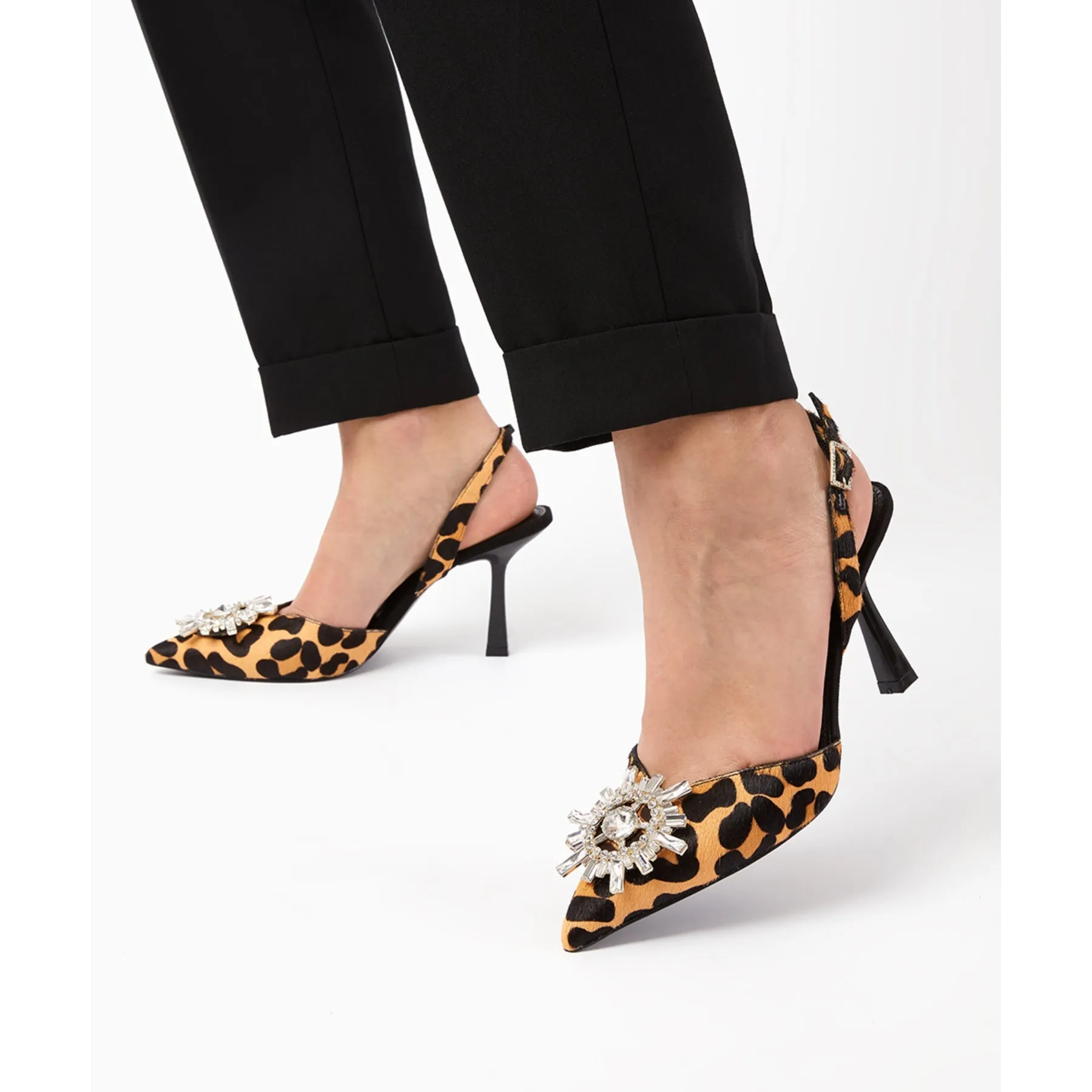 CASIS - LEOPARD