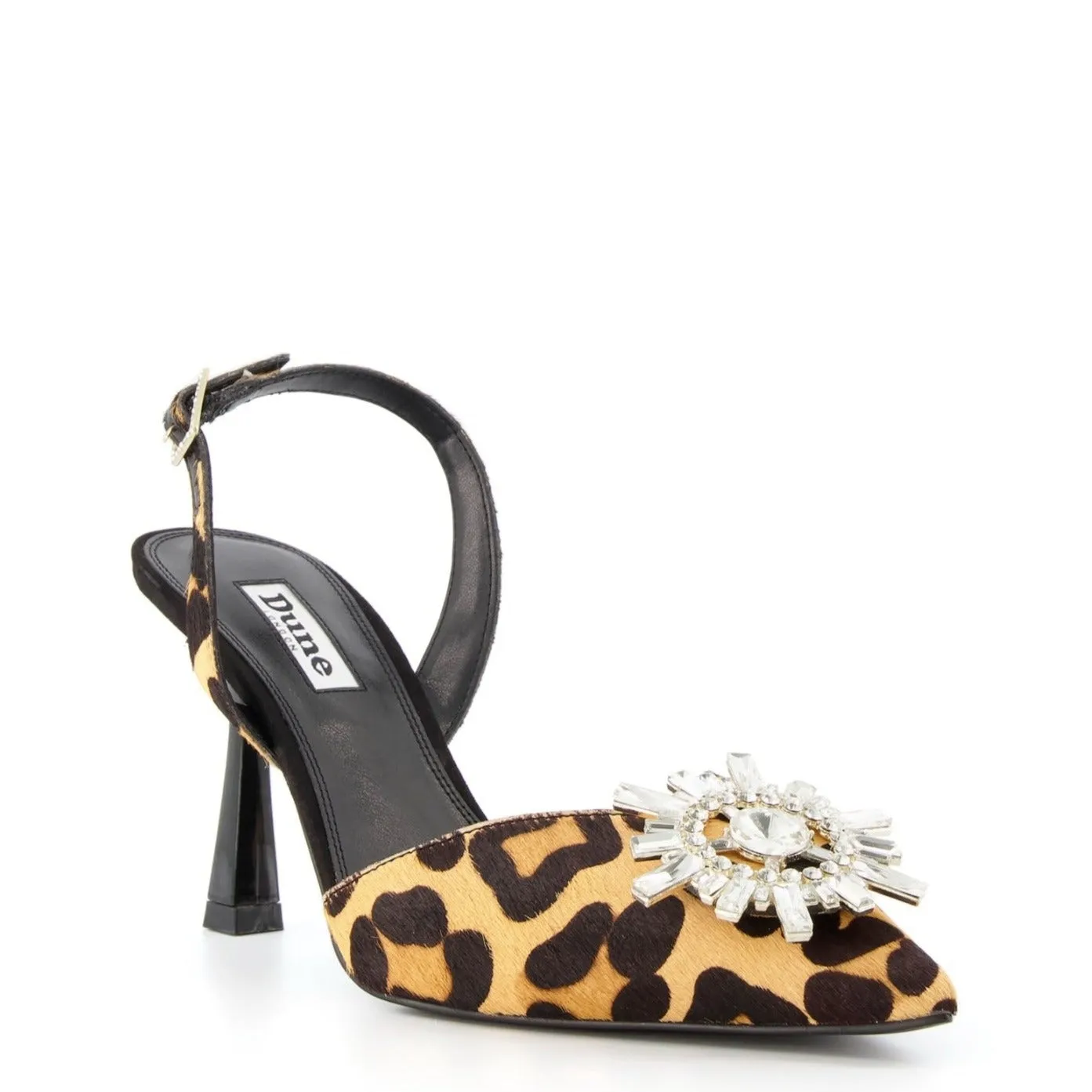 CASIS - LEOPARD