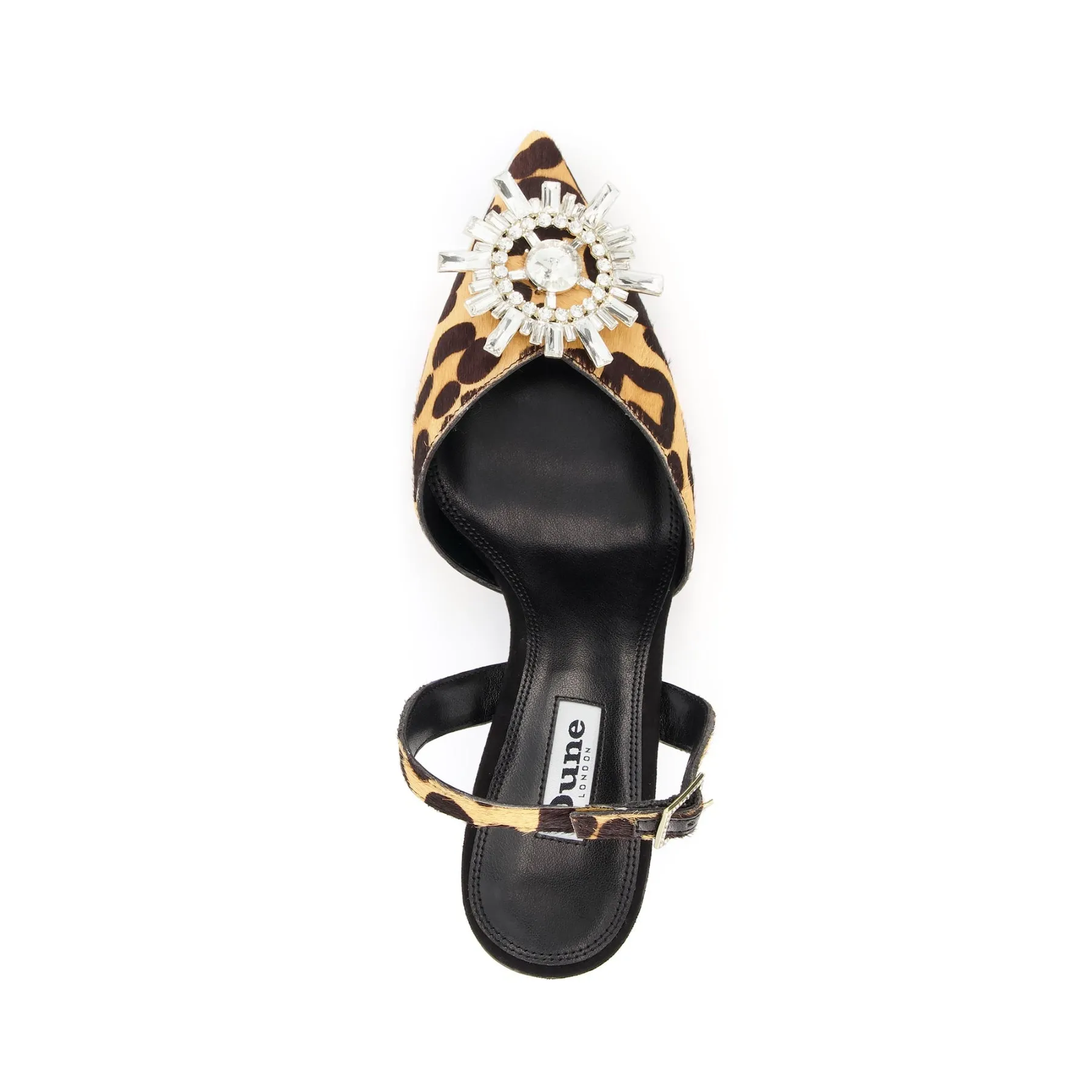 CASIS - LEOPARD